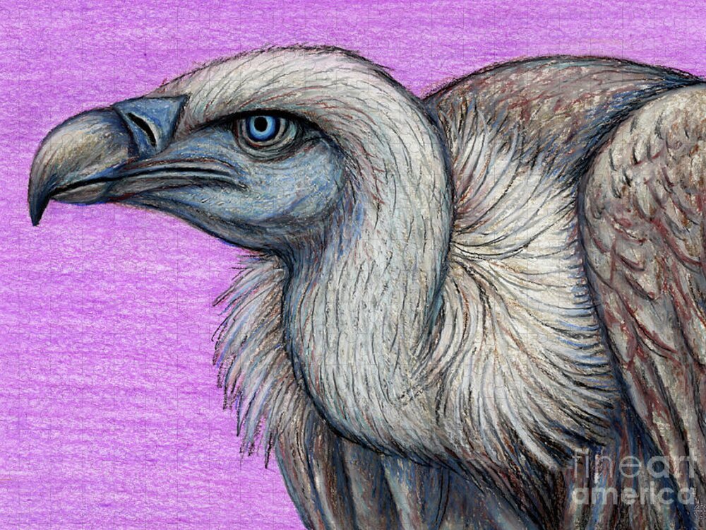 Ruppell's Vulture Jigsaw Puzzle featuring the painting Ruppell's Blue Eyed Griffon Vulture by Amy E Fraser