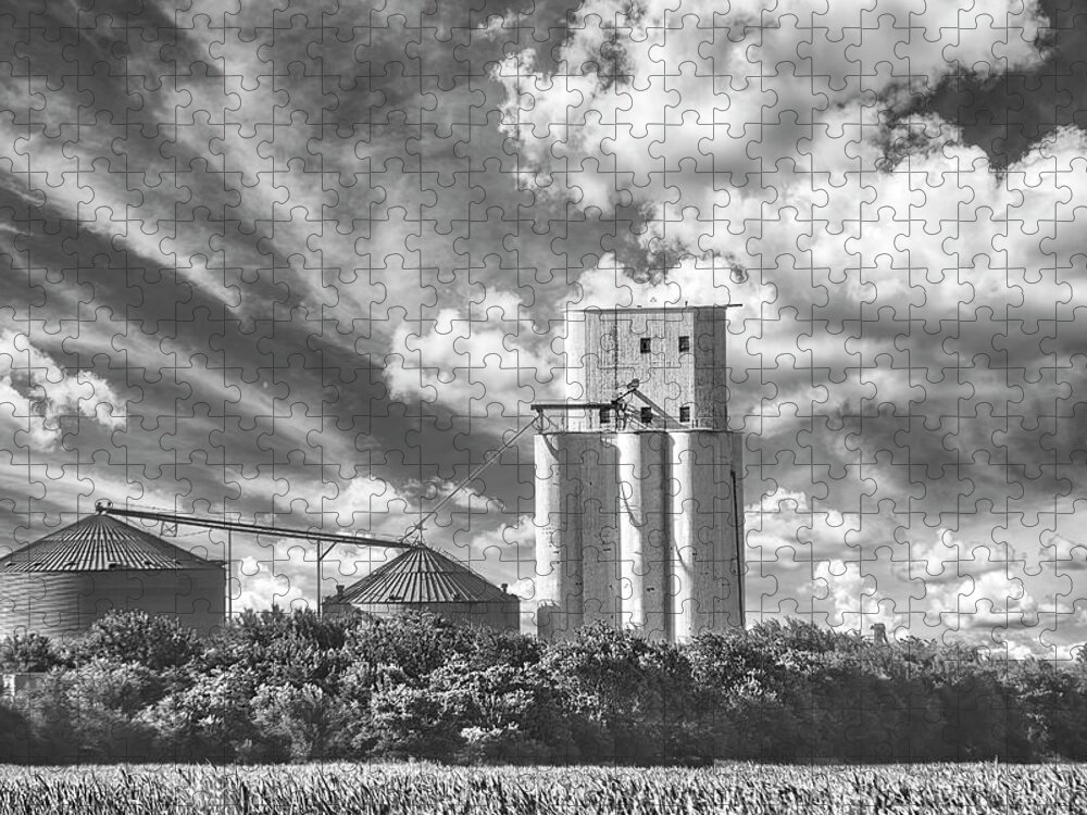 Country Jigsaw Puzzle featuring the photograph Rural Grain Elevator Black and White Photograph by Ann Powell