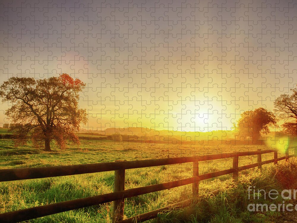 Britain Jigsaw Puzzle featuring the photograph Rural sunrise over fenced field by Simon Bratt