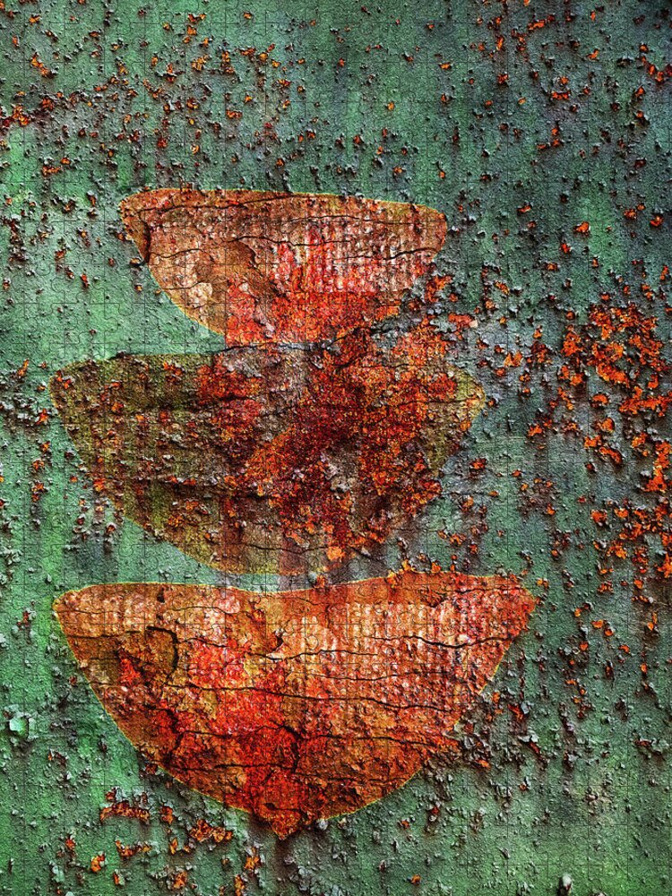 Abstract Jigsaw Puzzle featuring the photograph Rust by Jacky Gerritsen