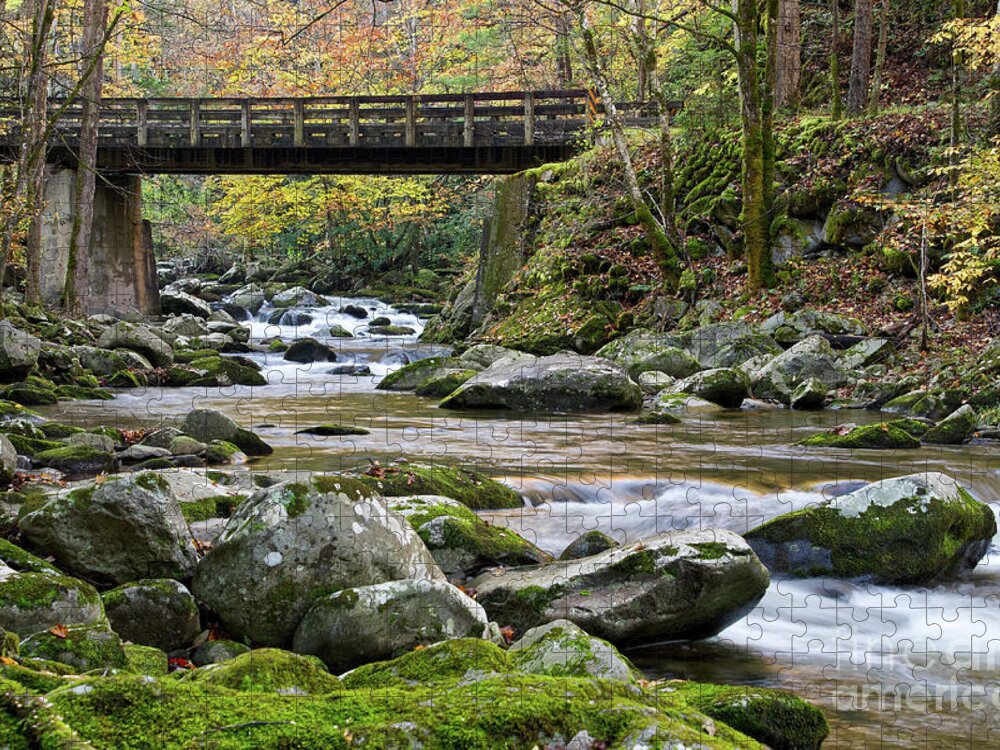 Autumn Jigsaw Puzzle featuring the photograph Rustic Wooden Bridge by Phil Perkins