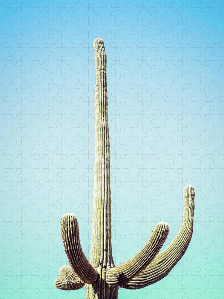 Atmospheric Jigsaw Puzzle featuring the photograph Saguaro #2 by Jennifer Wright
