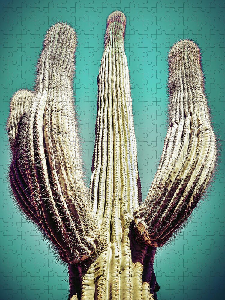 Atmospheric Jigsaw Puzzle featuring the photograph Saguaro #4 by Jennifer Wright