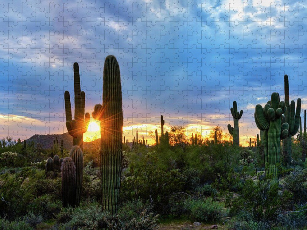 Sunset Jigsaw Puzzle featuring the photograph Saguaro Desert Sunset by Saija Lehtonen