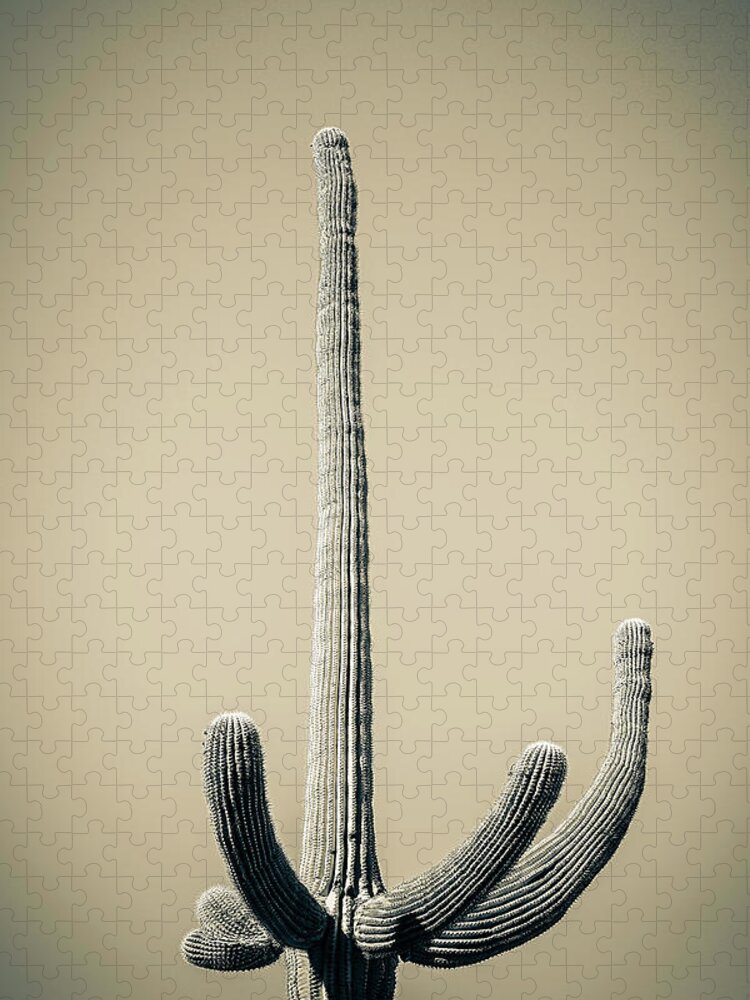 Atmospheric Jigsaw Puzzle featuring the photograph Saguaro Sepia by Jennifer Wright