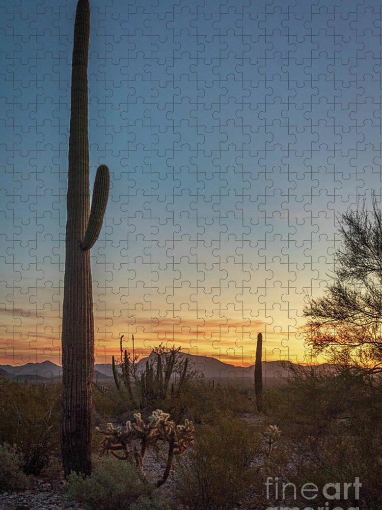 Desert Jigsaw Puzzle featuring the photograph Saguaro Sunset by Jeff Hubbard