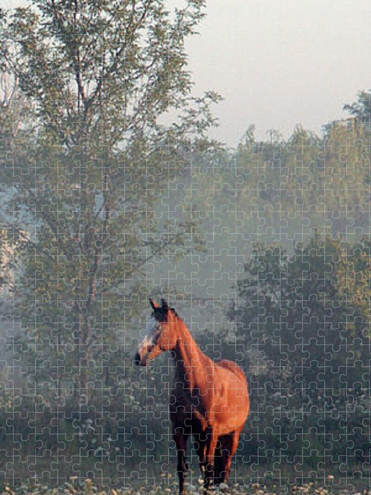 Horse Jigsaw Puzzle featuring the photograph Sally - Niagara, Ontario by Kenneth Lane Smith