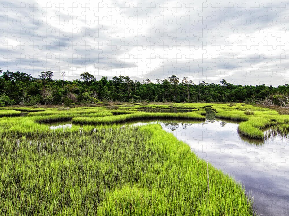 Marsh Jigsaw Puzzle featuring the photograph Salt Marsh of the Croatan National Forest by Bob Decker