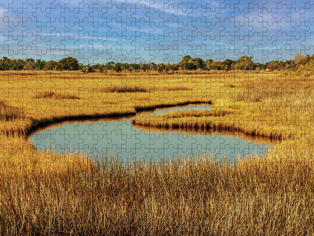 Camera Jigsaw Puzzle featuring the photograph Salt Marsh Photograph by Louis Dallara