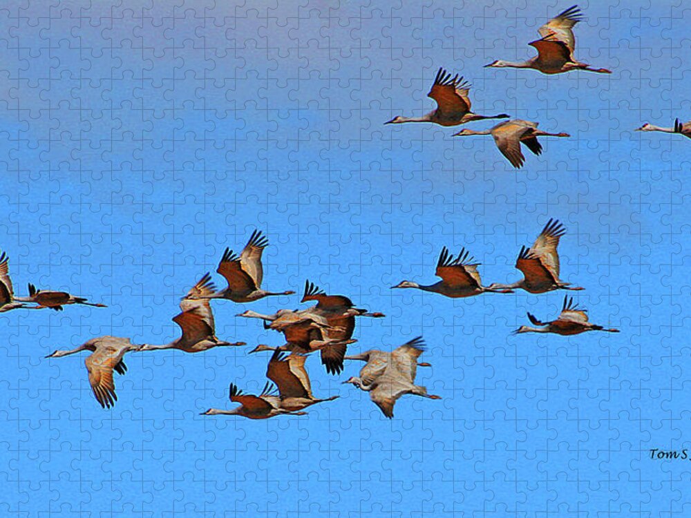 Sandhill Cranes In Flight Jigsaw Puzzle featuring the digital art Sandhill Cranes In Flight by Tom Janca