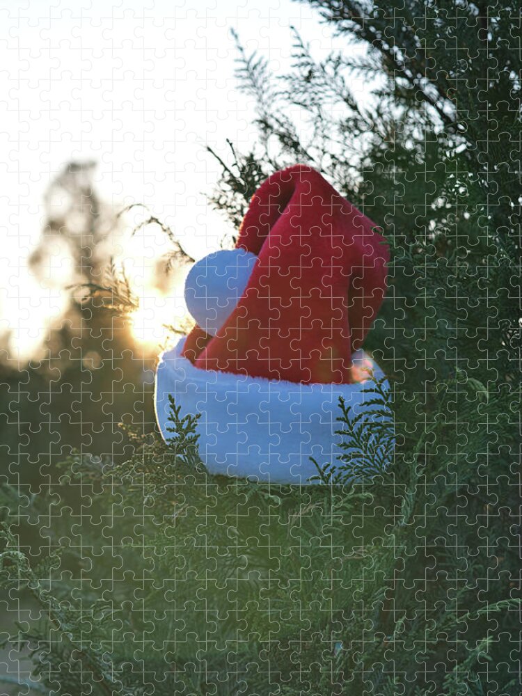 Holiday Jigsaw Puzzle featuring the photograph Santa Hat by Andrea Anderegg