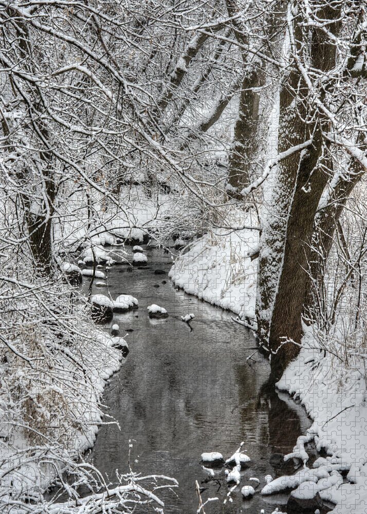 Creek Jigsaw Puzzle featuring the photograph Saunders Creek Dressed in White - Small WI creek bedazzled with fresh winter snow - color by Peter Herman