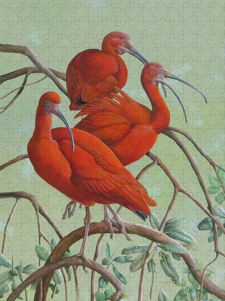 Scarlet Ibis Jigsaw Puzzle featuring the painting Scarlet Ibis by Barry Kent MacKay
