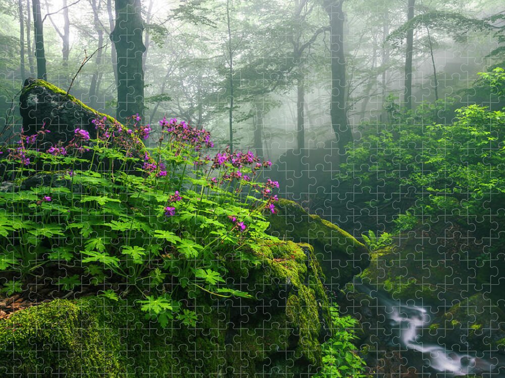 Geranium Jigsaw Puzzle featuring the photograph Scent of Spring by Evgeni Dinev