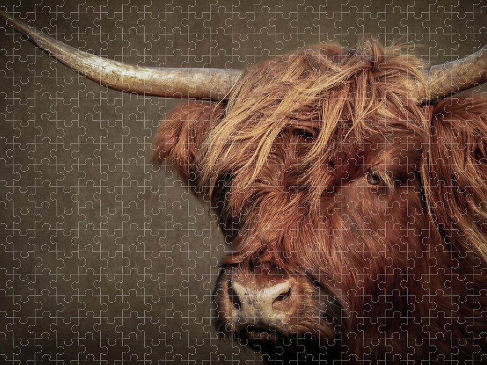 Scottish Highlander Jigsaw Puzzle featuring the digital art Scottish Highlander Portrait by Marjolein Van Middelkoop