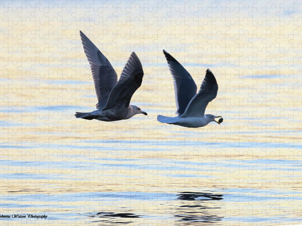 Seagulls Jigsaw Puzzle featuring the photograph Sea Gulls by Tahmina Watson