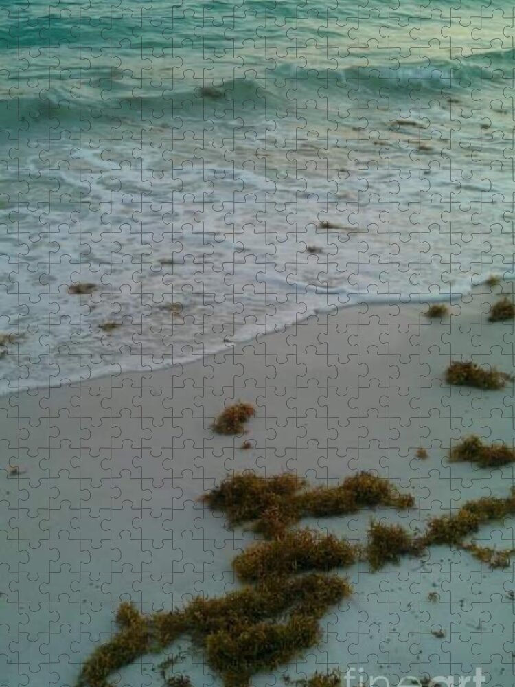 Destin Florida Jigsaw Puzzle featuring the photograph Sea Kelp by Expressions By Stephanie