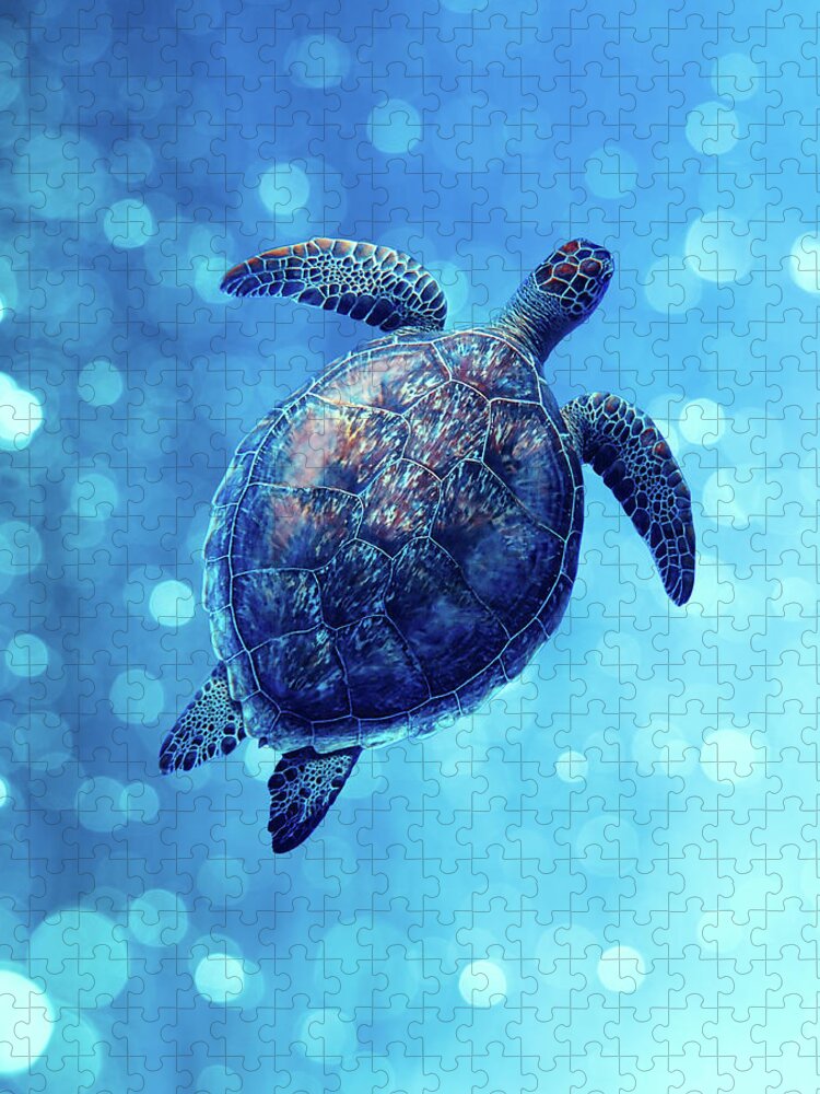Animal Jigsaw Puzzle featuring the photograph Sea Turtle Bubbly Blues by Laura Fasulo