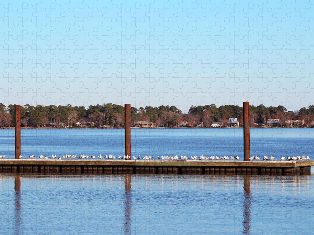 Seagull Jigsaw Puzzle featuring the photograph Seagull Gathering On Pier by Cynthia Guinn