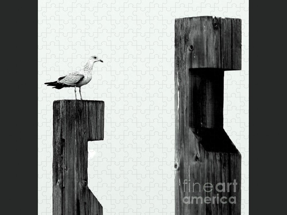 Seagull Jigsaw Puzzle featuring the photograph Seagull on a Pier by Irene Czys