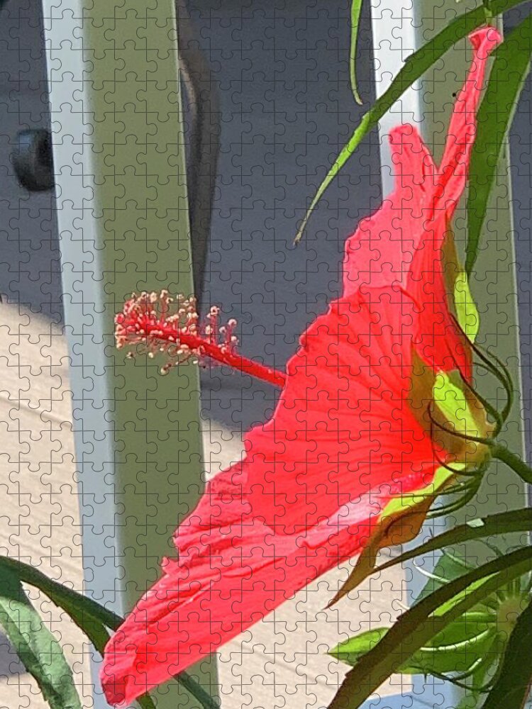 Flower Jigsaw Puzzle featuring the photograph Searching for Satellite Reception by Lee Darnell