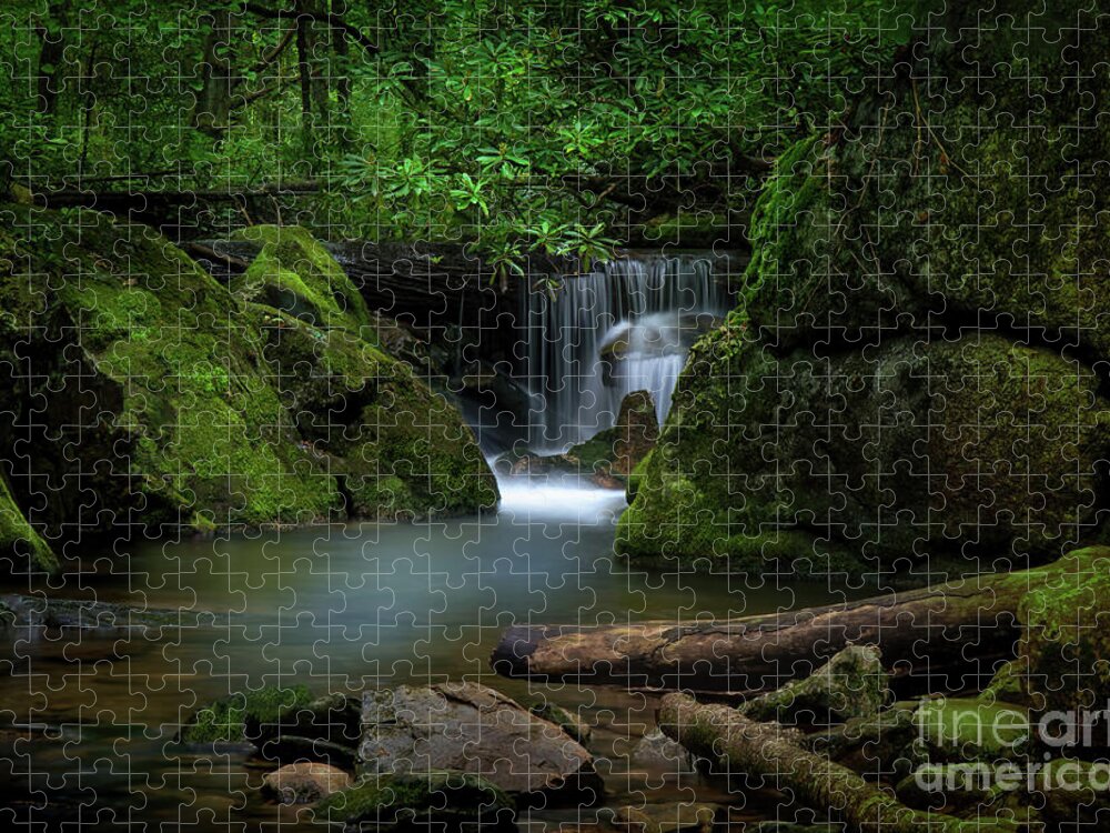Waterfall Jigsaw Puzzle featuring the photograph Secluded Waterfall by Shelia Hunt