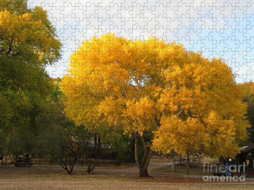 Sedona Jigsaw Puzzle featuring the photograph Sedona Cottonwood Tree Autumn Yellow Glowing by Mars Besso
