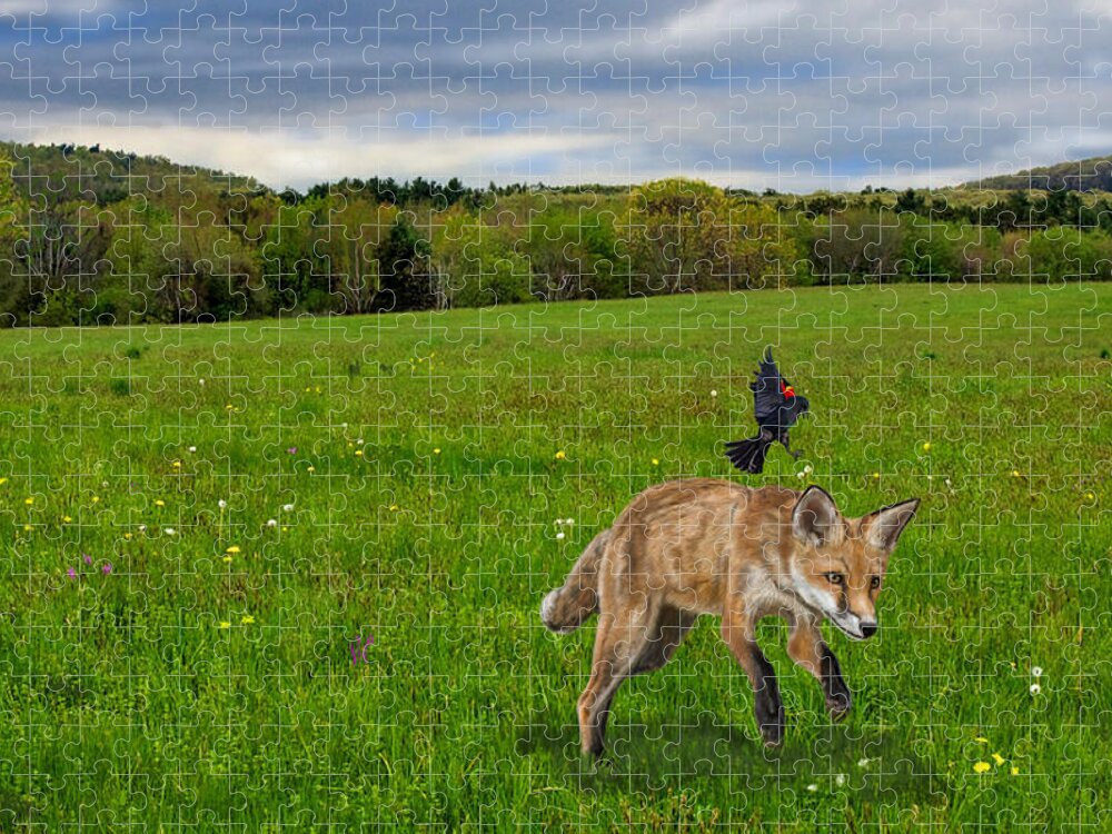 Fox Jigsaw Puzzle featuring the mixed media Seeing Red Scene Two by Judy Cuddehe