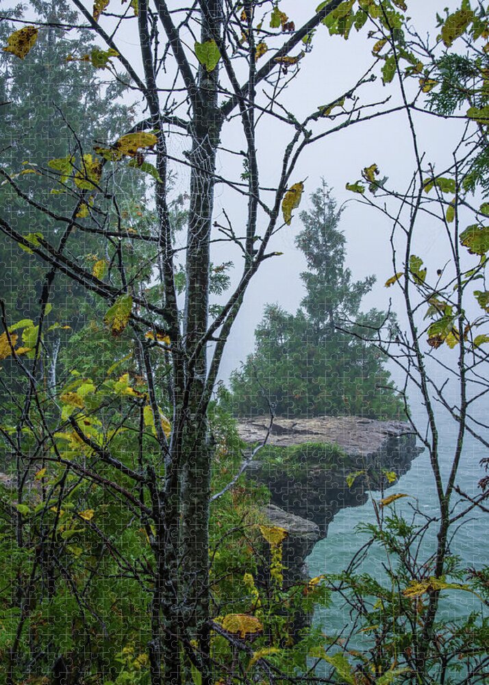 Cave Point Jigsaw Puzzle featuring the photograph Sentinel Cedar at Cave Point and a droplet-bedazzled Spiderweb - Door County Wisconsin by Peter Herman