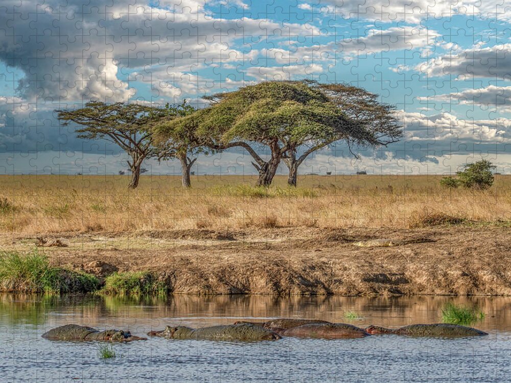Tanzania Jigsaw Puzzle featuring the photograph Serengeti Evening by Marcy Wielfaert