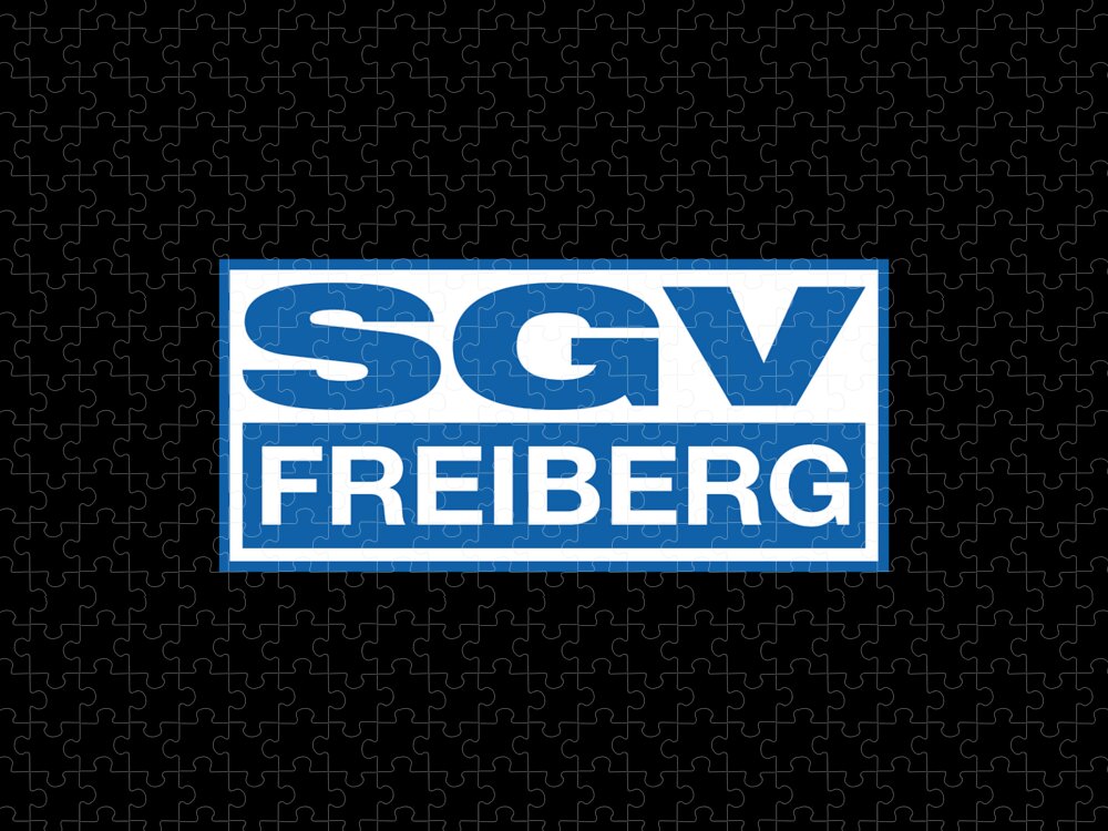 Freiberg sgv SGV Freiberg