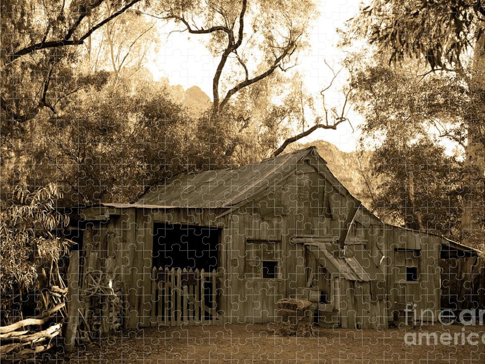 Historic House Jigsaw Puzzle featuring the photograph Shack at Arboretum by Catherine Walters