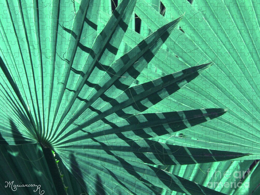 Nature Jigsaw Puzzle featuring the photograph Shadows on Palm Leaves by Mariarosa Rockefeller