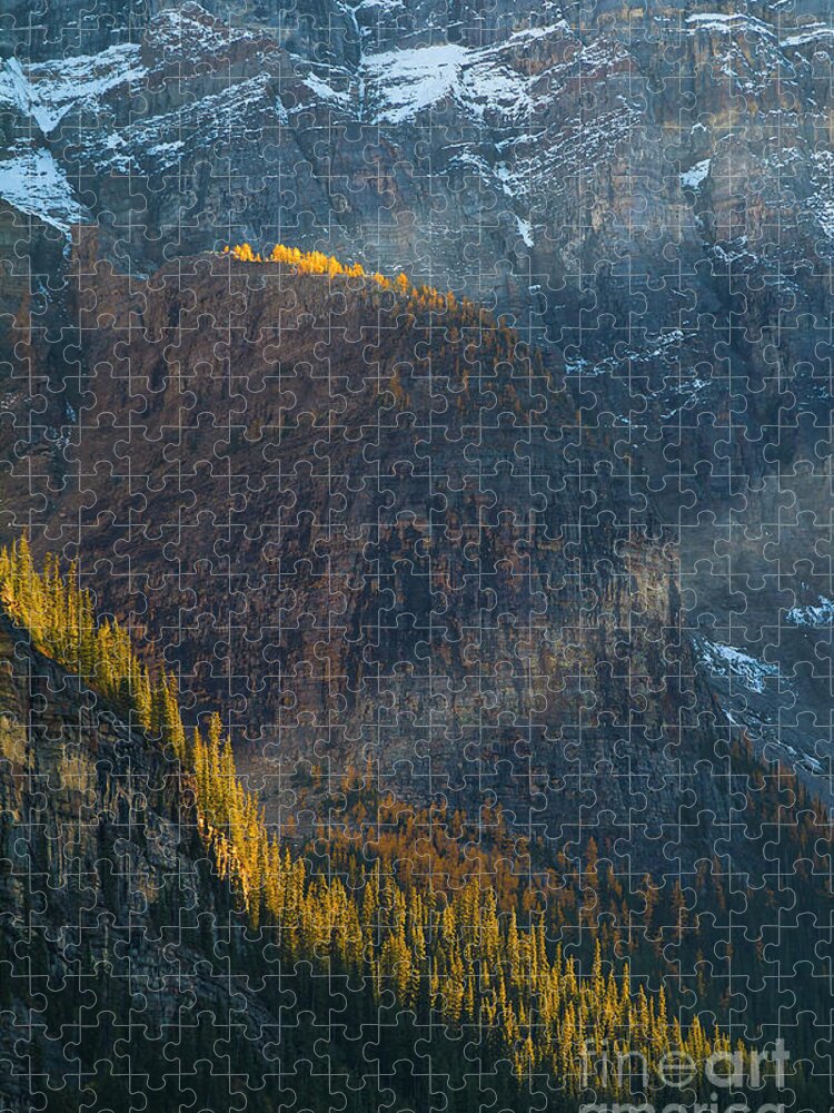 Larch Trees Jigsaw Puzzle featuring the photograph Shafts of light on autumn colours, Valley of the Ten Peaks, Banff National Park, Alberta, Canada by Neale And Judith Clark
