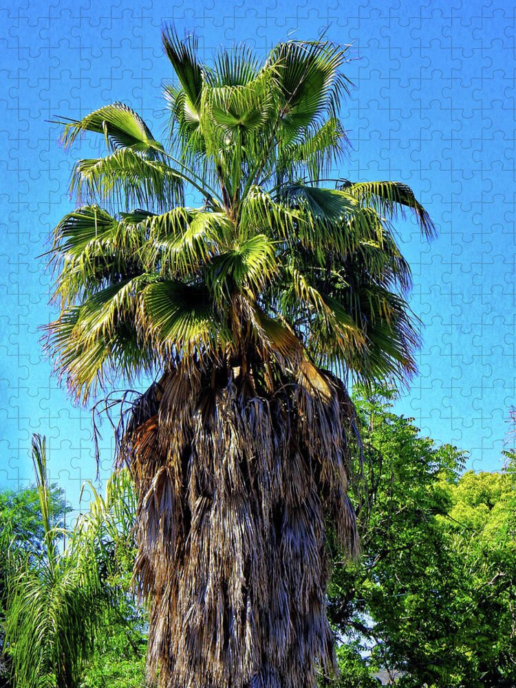 Tree Jigsaw Puzzle featuring the photograph Shaggy Palm Tree by Andrew Lawrence