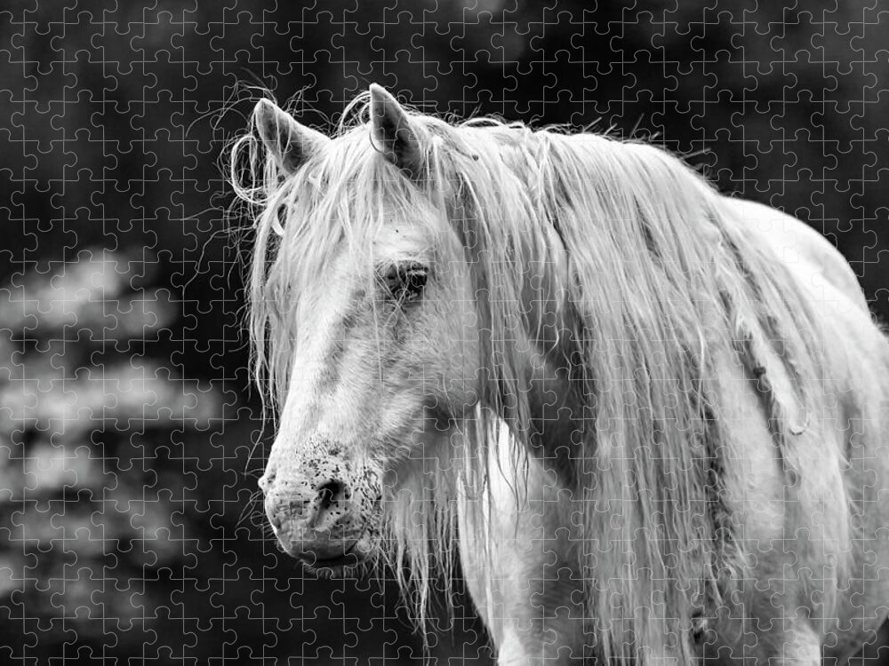 Black And White Jigsaw Puzzle featuring the photograph Shawnee Mare and Dogwoods by Holly Ross