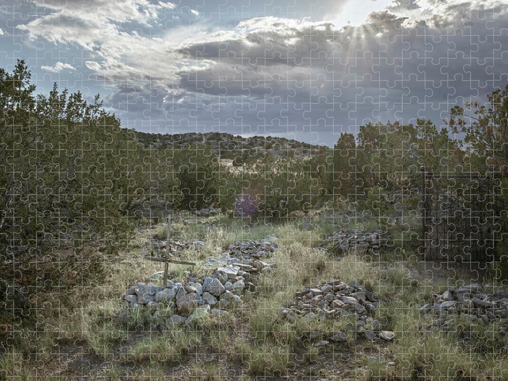 Landscapes Jigsaw Puzzle featuring the photograph Shine On by Mary Lee Dereske