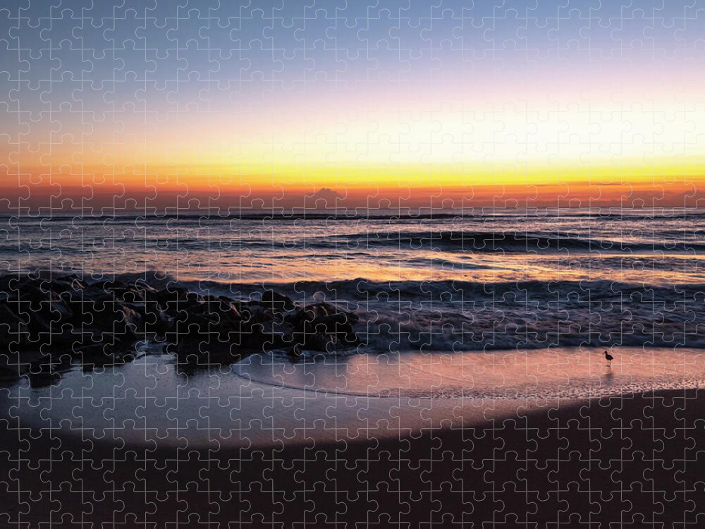 Birds Jigsaw Puzzle featuring the photograph Shorebird at Dawn by Debra and Dave Vanderlaan