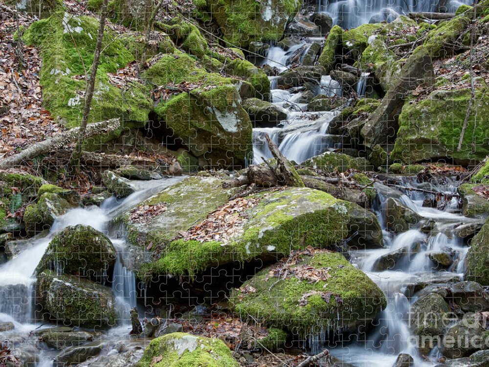 Frozen Head State Park Jigsaw Puzzle featuring the photograph Side Waterfall 2 by Phil Perkins