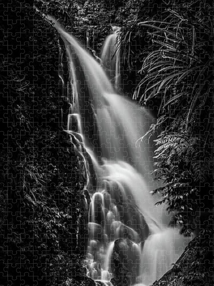 Black And White Waterfall Jigsaw Puzzle featuring the photograph Silent Echoes by Az Jackson