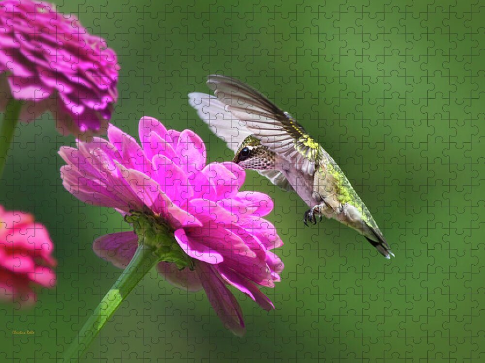 Hummingbird Jigsaw Puzzle featuring the photograph Simple Pleasure Hummingbird by Christina Rollo