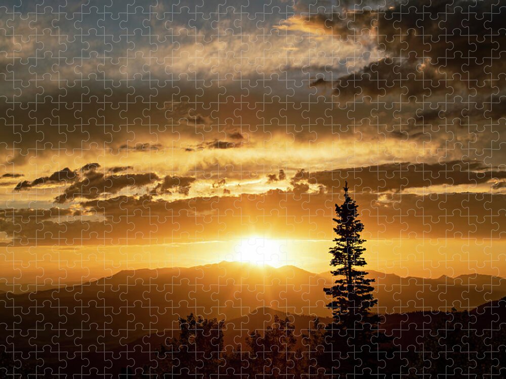 Sunset Jigsaw Puzzle featuring the photograph Single Tree Sunset by Wesley Aston