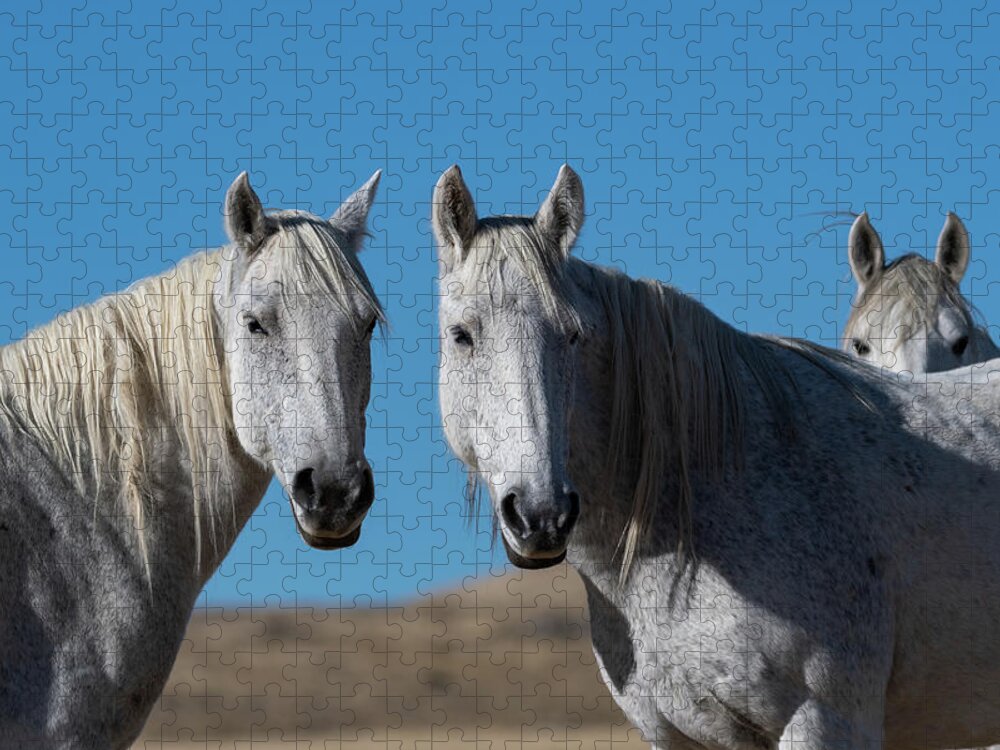 Wild Horses Jigsaw Puzzle featuring the photograph Sisters in Life by Mary Hone
