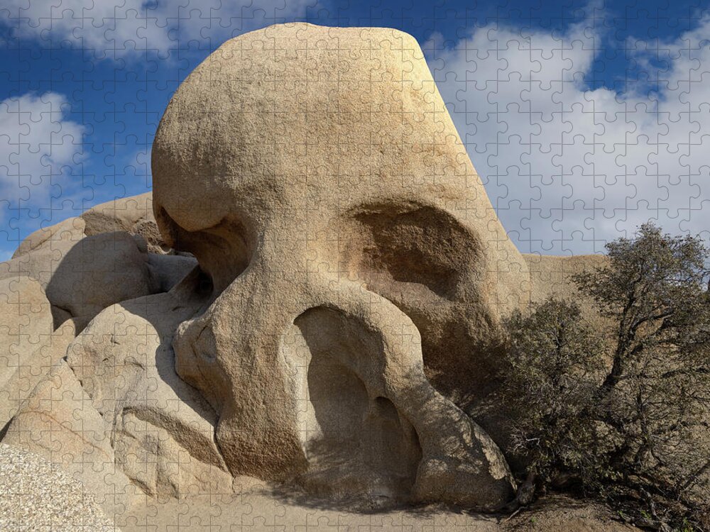Skull Rock Jigsaw Puzzle featuring the photograph Skull Rock by Art Cole