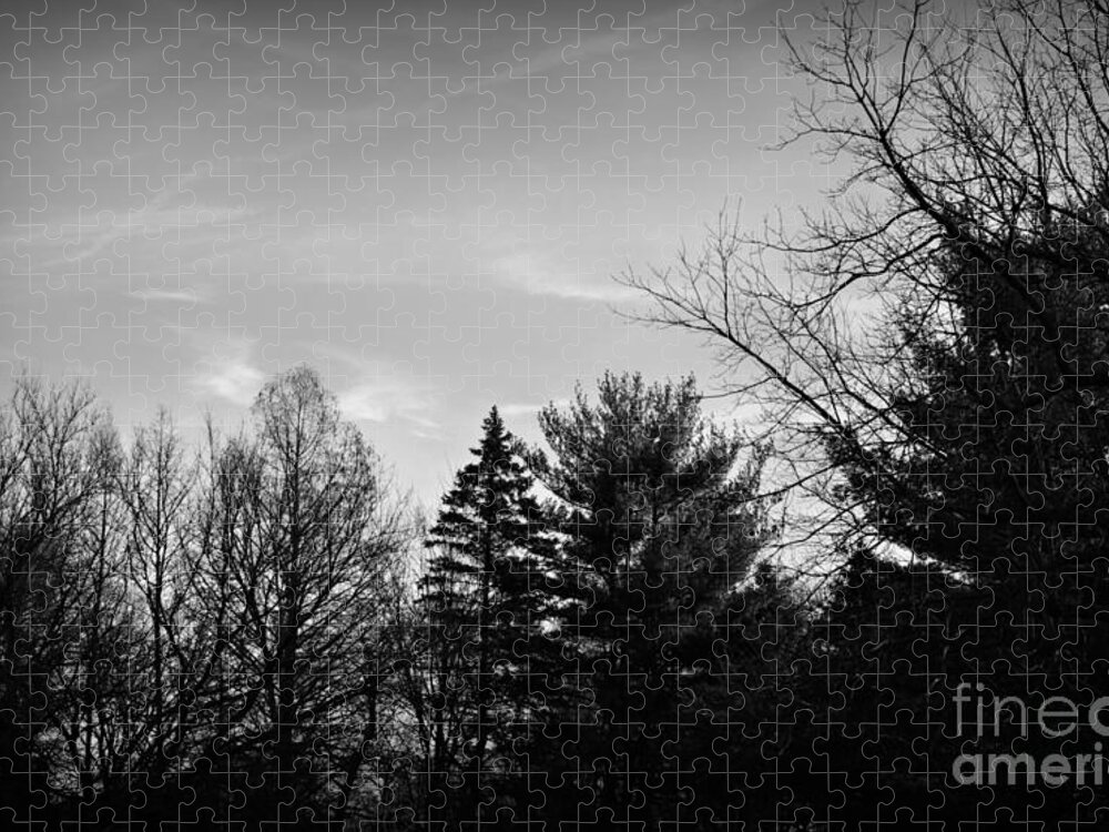 Monochrome Jigsaw Puzzle featuring the photograph Sky Patterns Black and White by Frank J Casella