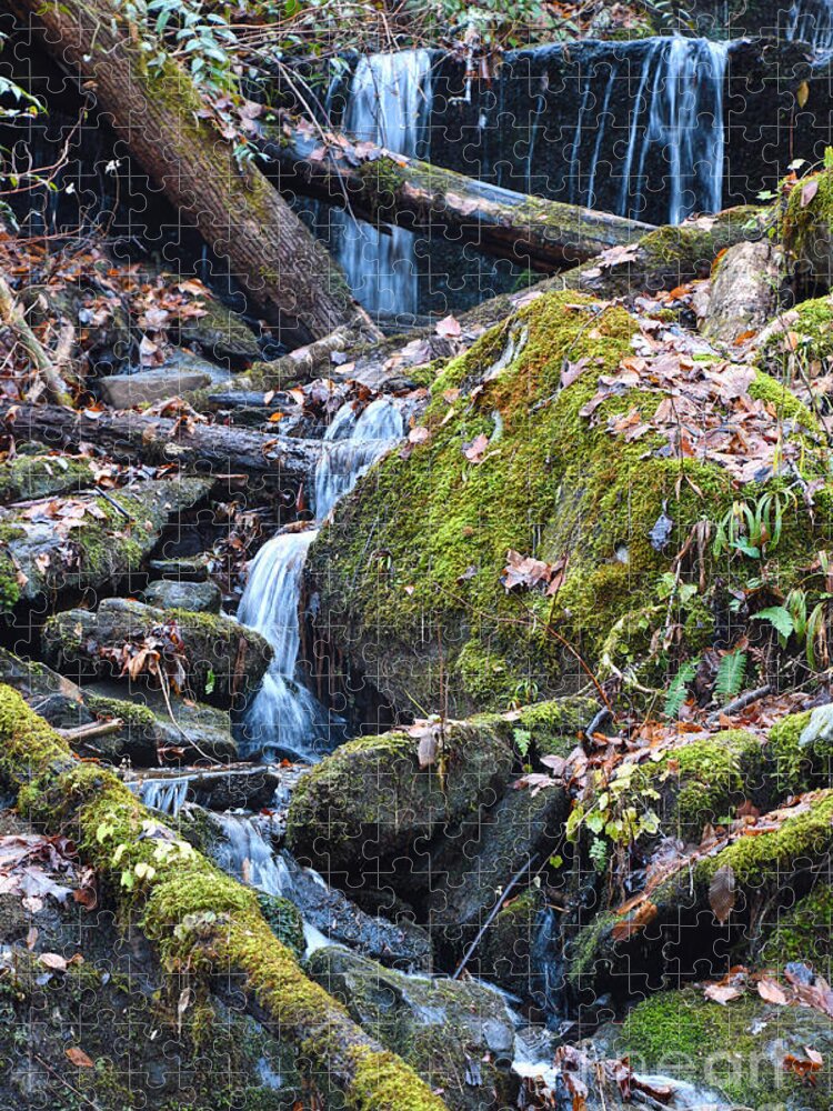 Tennessee Jigsaw Puzzle featuring the photograph Small Waterfall by Phil Perkins
