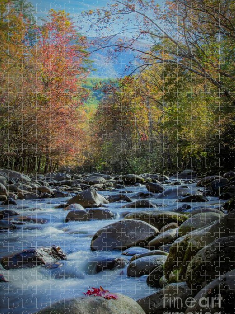 Landscape Jigsaw Puzzle featuring the photograph Smoky Mountain Autumn by Theresa D Williams