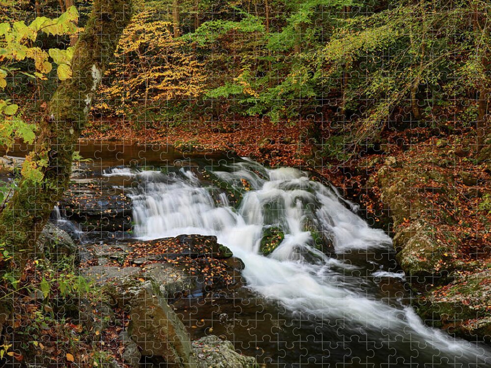 Smoky Mountains Waterfall In Autumn Jigsaw Puzzle featuring the photograph Smoky Mountains Waterfall In Autumn by Dan Sproul