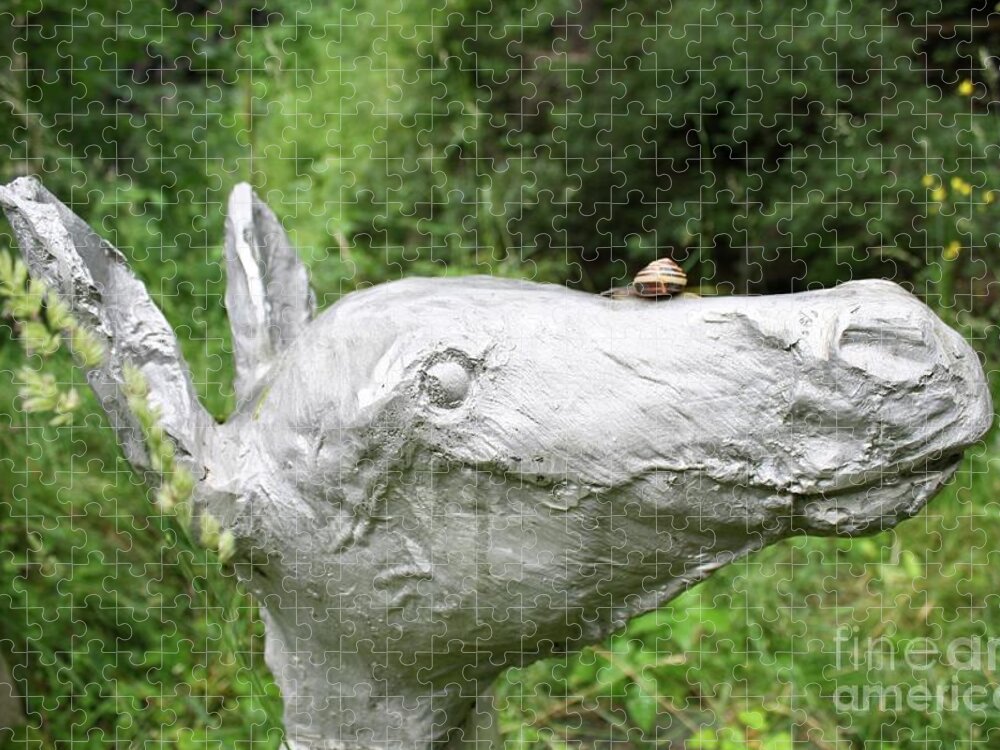 Snail On Donkey Head Jigsaw Puzzle featuring the photograph Snail on Donkey by Flavia Westerwelle