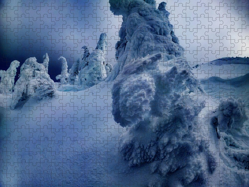 Tree Jigsaw Puzzle featuring the photograph Snow Covered Trees 5 by Pelo Blanco Photo